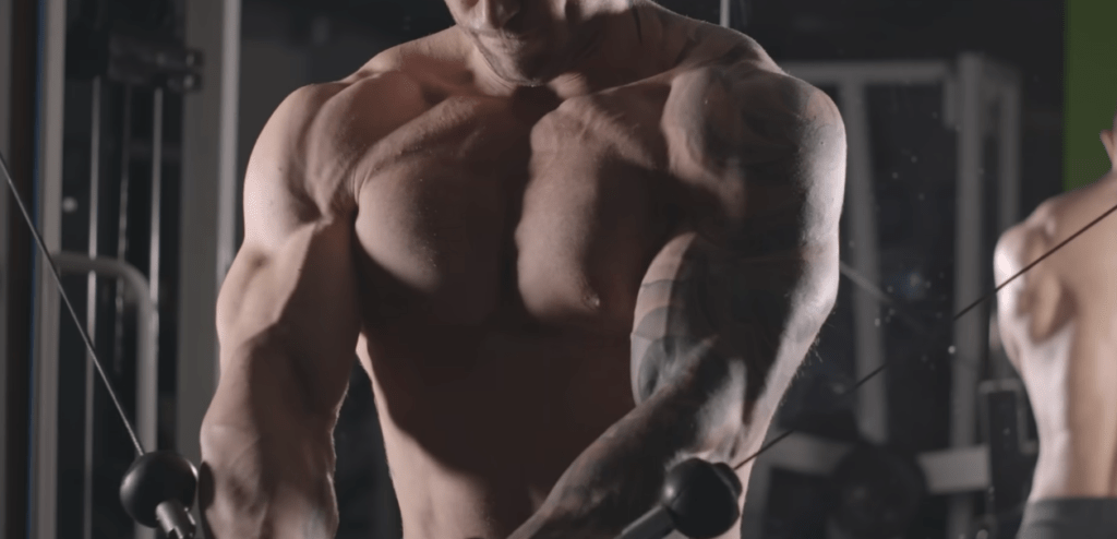 The Muscle as an Organ: Why Resistance Training is the Ultimate Form of Preventative Medicine