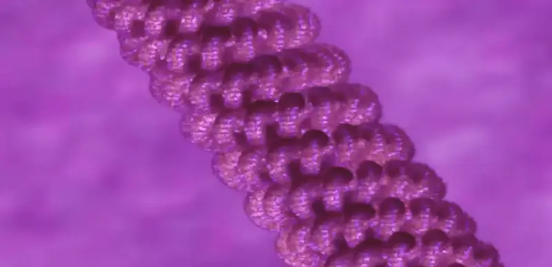 The Genomic AI: Unlocking the Dark Matter of Human DNA to Cure Rare Diseases