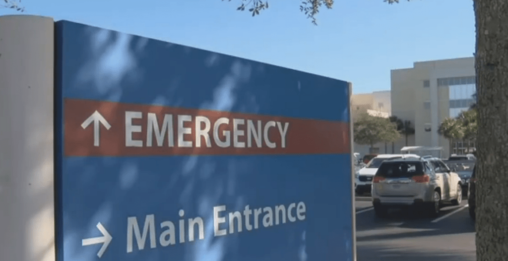 The Arabian Gulf's Healthcare Paradox: World-Class Innovation, Persistent Inequality, and Everything In Between